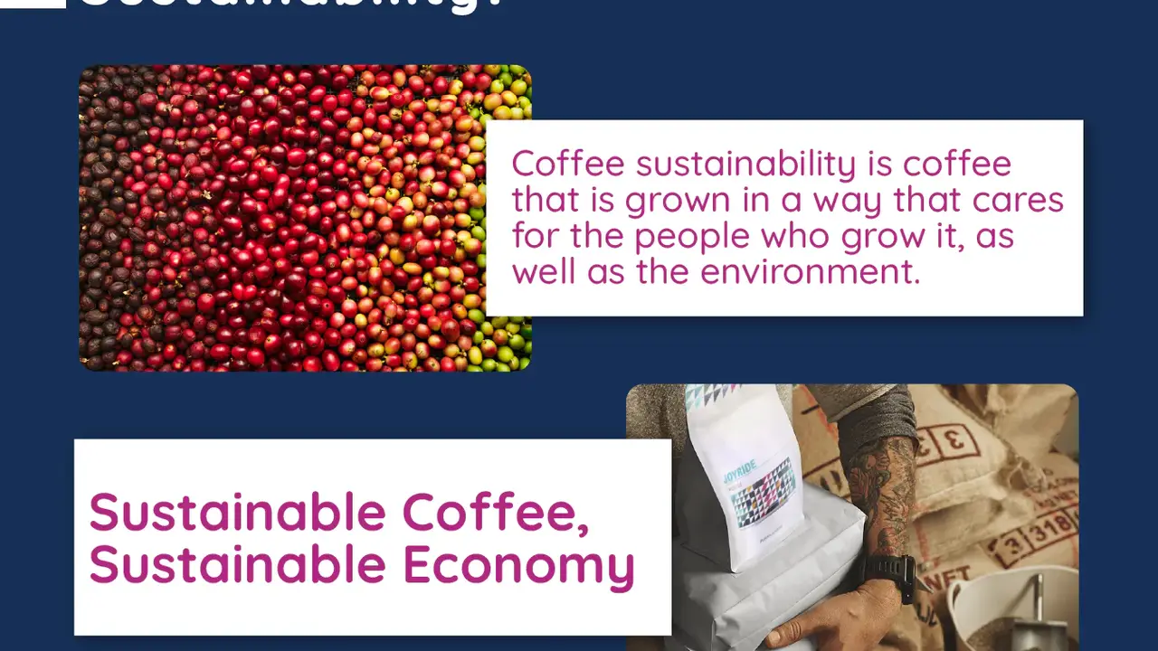 Chef John's Irish Soda Bread